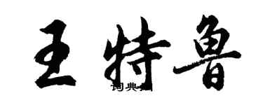 胡問遂王特魯行書個性簽名怎么寫