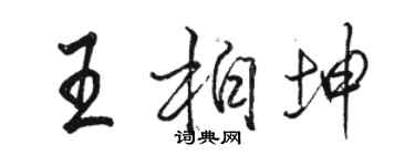 駱恆光王柏坤行書個性簽名怎么寫