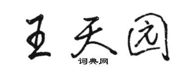 駱恆光王天園行書個性簽名怎么寫