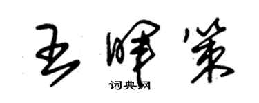 朱錫榮王暉策草書個性簽名怎么寫