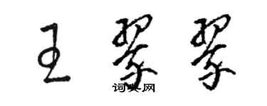 駱恆光王翠翠草書個性簽名怎么寫