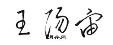 駱恆光王陽宙草書個性簽名怎么寫