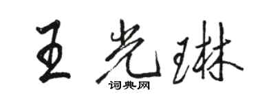 駱恆光王光琳行書個性簽名怎么寫