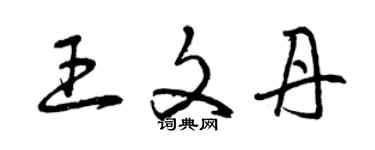 曾慶福王文丹草書個性簽名怎么寫