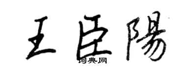王正良王臣陽行書個性簽名怎么寫