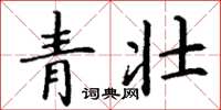 丁謙青壯楷書怎么寫