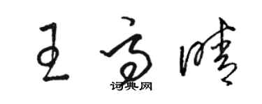 駱恆光王高晴草書個性簽名怎么寫