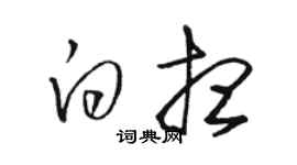 駱恆光白想草書個性簽名怎么寫