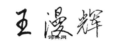 駱恆光王漫輝行書個性簽名怎么寫