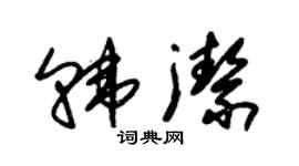 朱錫榮韓潔草書個性簽名怎么寫