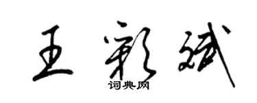 梁錦英王彩斌草書個性簽名怎么寫