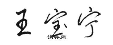 駱恆光王寶寧行書個性簽名怎么寫