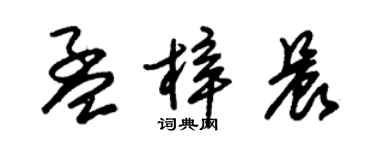 朱錫榮孟梓晨草書個性簽名怎么寫