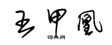 朱錫榮王甲凰草書個性簽名怎么寫