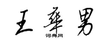 王正良王華男行書個性簽名怎么寫