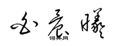 梁錦英白晨曦草書個性簽名怎么寫