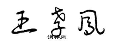 曾慶福王孝鳳草書個性簽名怎么寫