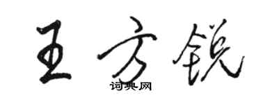 駱恆光王方銳行書個性簽名怎么寫