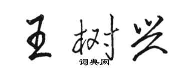 駱恆光王樹興行書個性簽名怎么寫