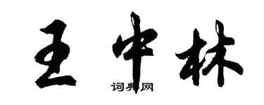 胡問遂王中林行書個性簽名怎么寫