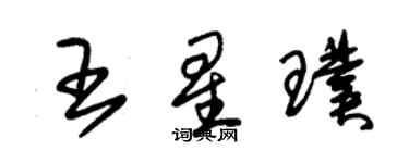 朱錫榮王星璞草書個性簽名怎么寫
