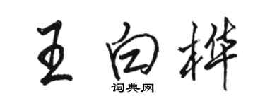 駱恆光王白樺行書個性簽名怎么寫