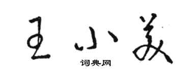 駱恆光王小美草書個性簽名怎么寫