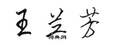 駱恆光王蘭芳行書個性簽名怎么寫