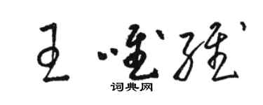 駱恆光王唯維草書個性簽名怎么寫