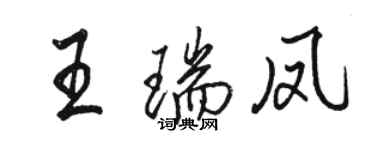 駱恆光王瑞鳳行書個性簽名怎么寫