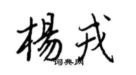 王正良楊戎行書個性簽名怎么寫