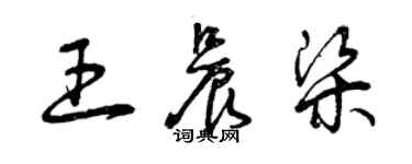 曾慶福王晨梁草書個性簽名怎么寫