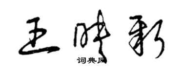 曾慶福王映新草書個性簽名怎么寫