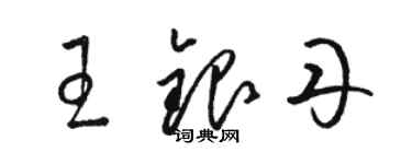 駱恆光王銀丹草書個性簽名怎么寫