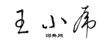 駱恆光王小虎草書個性簽名怎么寫