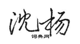 駱恆光沈楊行書個性簽名怎么寫
