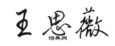 駱恆光王思薇行書個性簽名怎么寫