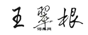 駱恆光王翠根行書個性簽名怎么寫