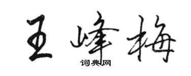 駱恆光王峰梅行書個性簽名怎么寫