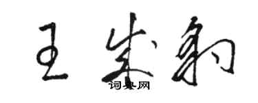 駱恆光王成豹草書個性簽名怎么寫