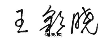 駱恆光王彩曉草書個性簽名怎么寫