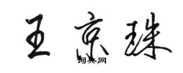 駱恆光王京珠行書個性簽名怎么寫
