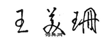 駱恆光王美珊草書個性簽名怎么寫