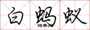 荊霄鵬白螞蟻行書怎么寫