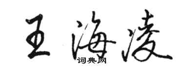 駱恆光王海凌行書個性簽名怎么寫