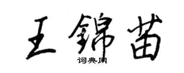 王正良王錦苗行書個性簽名怎么寫
