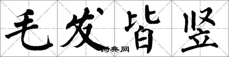 翁闓運毛髮皆豎楷書怎么寫