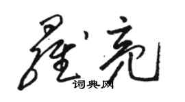 駱恆光羅亮草書個性簽名怎么寫