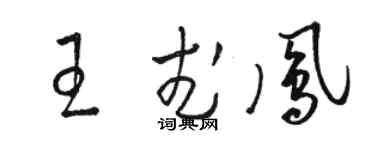 駱恆光王武鳳草書個性簽名怎么寫