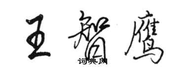 駱恆光王智鷹行書個性簽名怎么寫